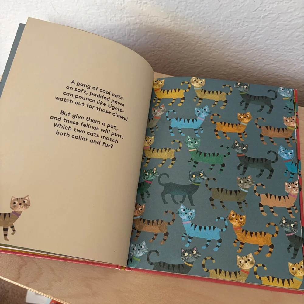 Where's The Pair? Spotting Book - Children’s Hardcover Book
